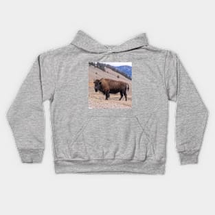 Bison Buffalo Adult Photograph Kids Hoodie